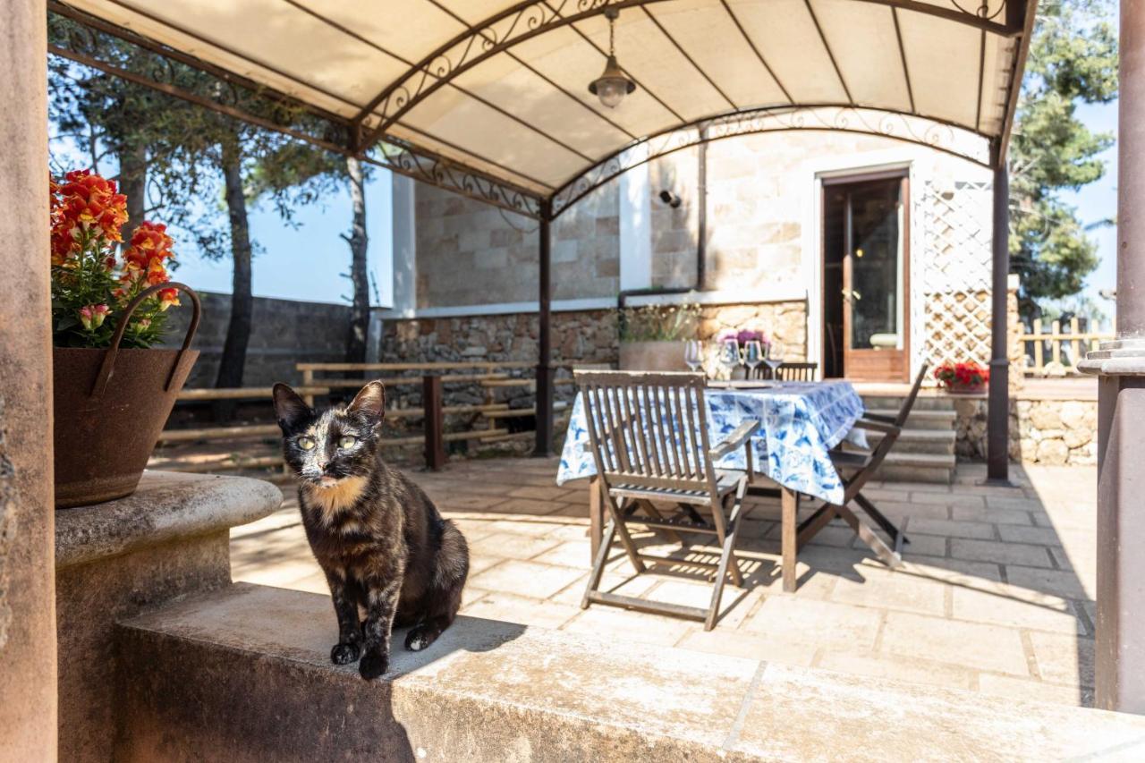 Villa Antonietta Алисте Екстериор снимка